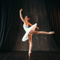 Fascinating Ballet Facts You Never Knew Existed - Redland Dance, Cleveland QLD